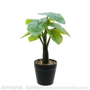 仿真绿植叶子盆栽创意室内小摆件仿真花盆景室内装饰仿真植物厂家