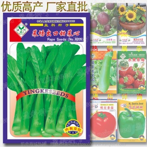 菜场出口甜菜心种子 约5000粒 速生青菜薹 菜苗油菜 蔬菜种子批发