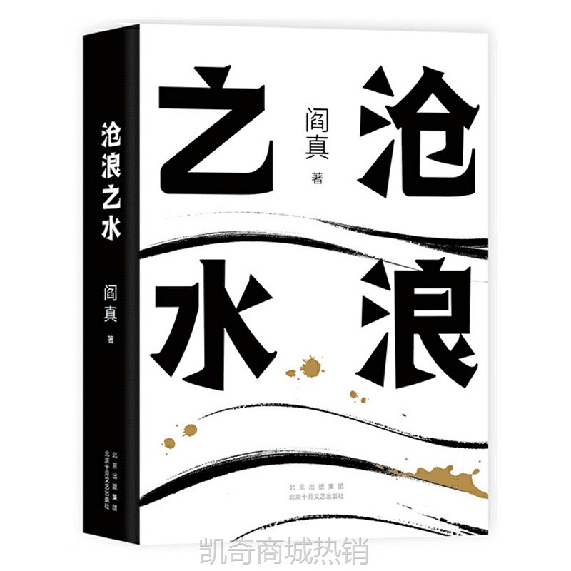 沧浪之水 未删减版 电视剧岁月原著 阎真 经典官场小说 书