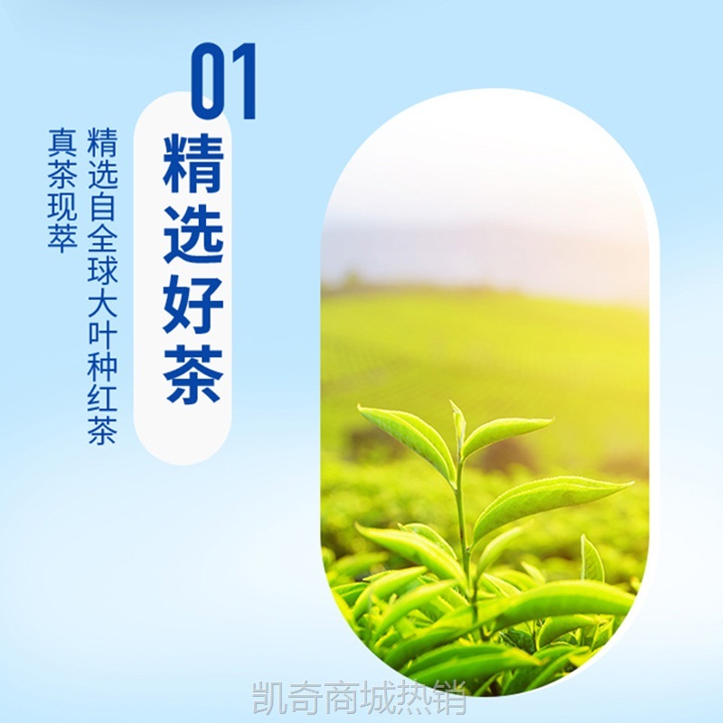 统一阿萨姆原味经典奶茶500ml*15瓶饮料整箱