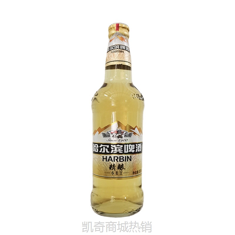 【♥首购1元♥】【新疆不发】 哈尔滨小麦王啤酒500ml*12瓶整箱 江浙沪皖包邮